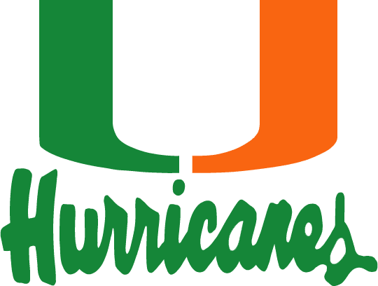 Miami Hurricanes 1979-1999 Wordmark Logo DIY iron on transfer (heat transfer)...